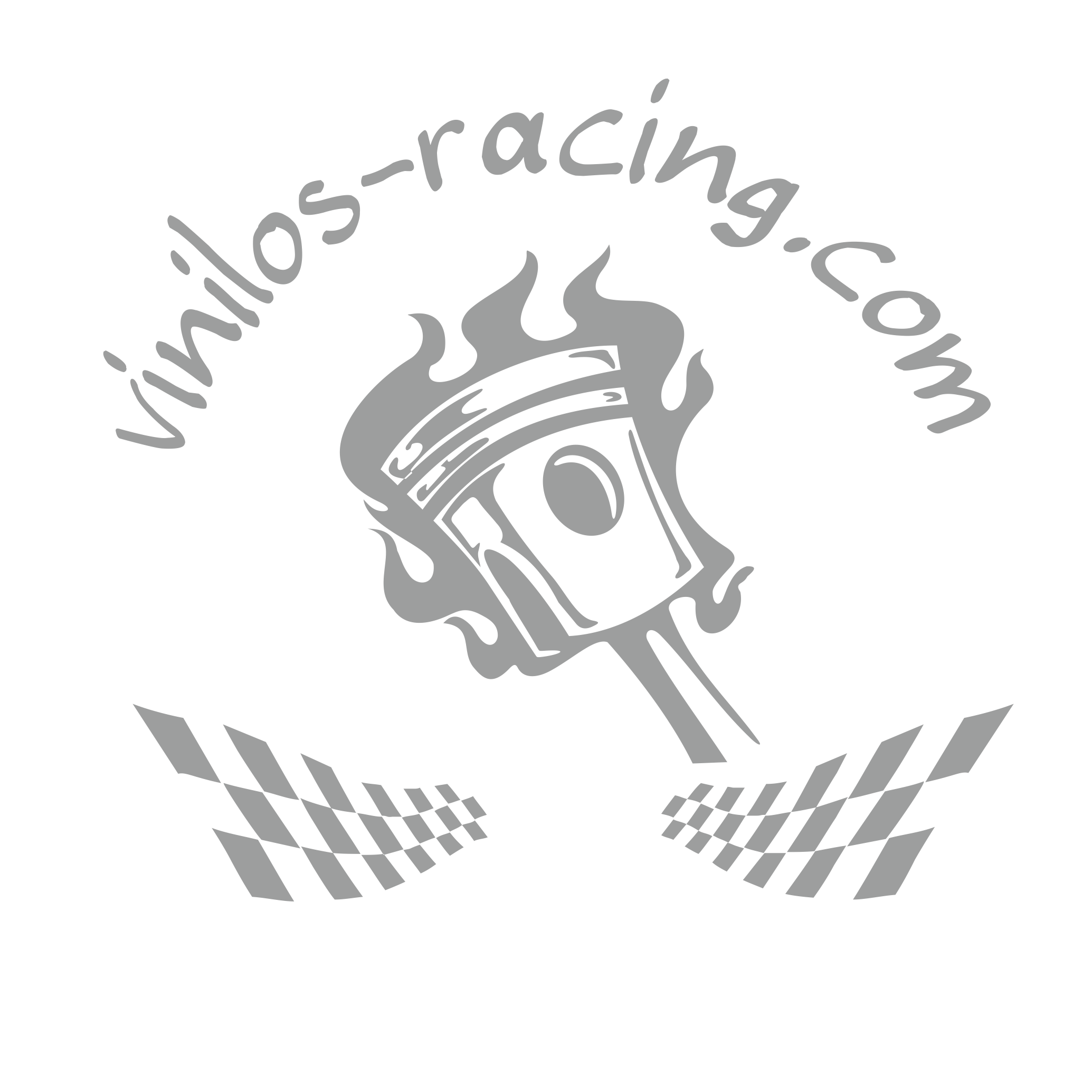 VinilosRacing